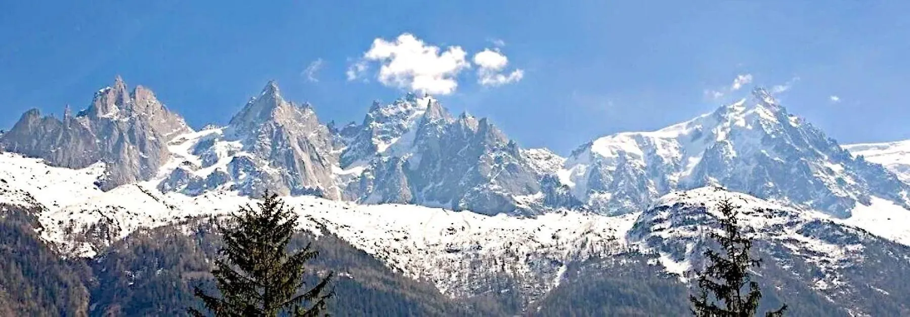 Villa Chalet Foret Rouge Chamonix